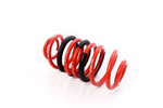 Coilover Main Spring (Rear) Audi A4 B8 Sedan