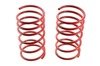 Front Sport Springs - 88112009FA