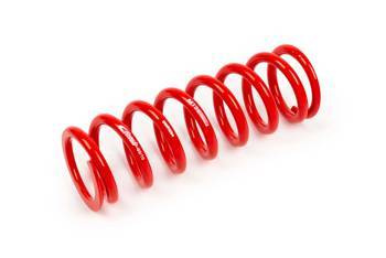 Coil Spring - GWFE94