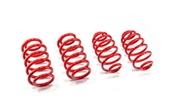 Lowering Springs Volkswagen PASSAT B5 (3B2)