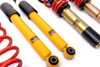 Coilover Kit Street Volkswagen TIGUAN (5N)