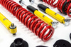 Coilover Suspension Street - MTSGWMB18