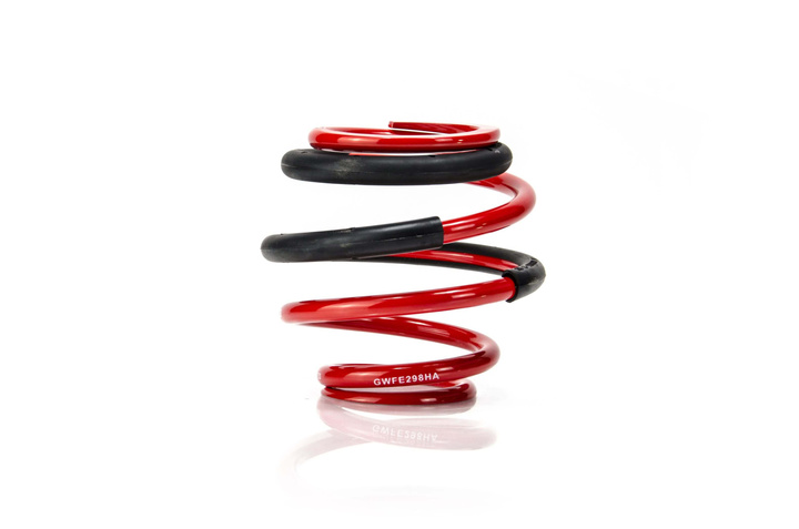 Coil Spring - GWFE298HA