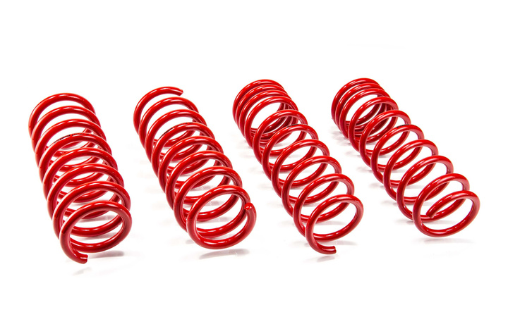 Lowering Springs BMW 5 (F10)