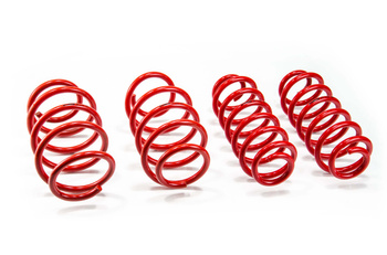 Lowering Springs Audi A3 (8P)