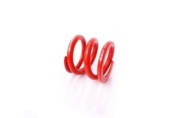 Coil Spring - GWFE112