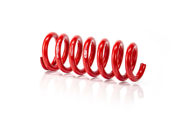 Coil Spring - GWFE313HA