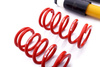 Coilover Suspension Stance - MTSGWVW29-S