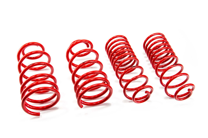 Lowering Springs Volkswagen GOLF III (1H1)
