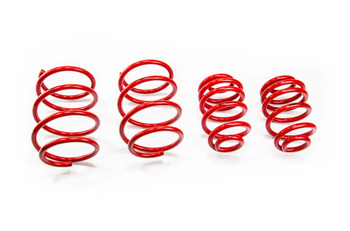 Lowering Springs BMW 3 (E46)