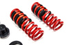 Adjustable Springs BMW 4 Convertible (G23)