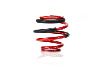 Coil Spring - GWFE298HA