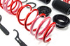 Adjustable Springs Volkswagen GOLF VIII (CD1)