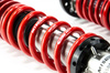 Coilover Kit Street BMW Z3 Coupe (E36)
