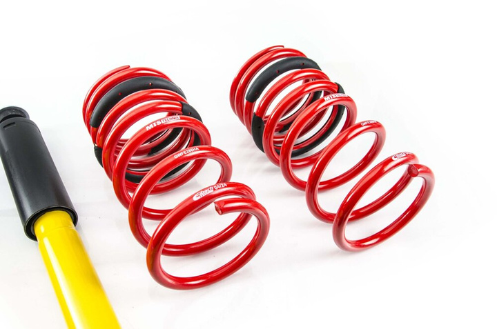Coilover Kit Street BMW 2.5-3.2 Coupe (E9)