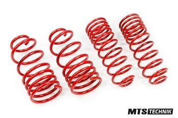 Lowering Springs Volkswagen VENTO (1H2)