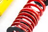 Coilover Suspension Street - MTSGWVW03