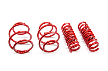 Performance Springs - MTSXBM196