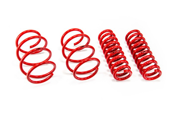 Lowering Springs BMW 1 (F21)