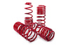Performance Springs - MTSXBM294