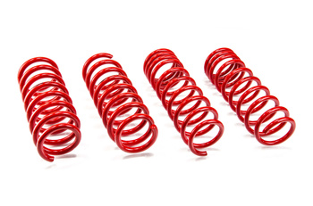 Lowering Springs BMW 5 (F10)