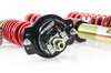 Coilover Suspension Street - MTSGWAU73