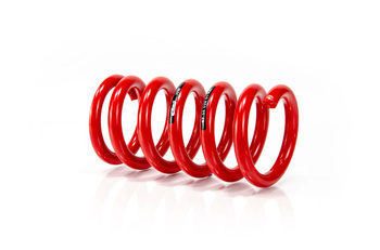 Coil Spring - GWFE260HA