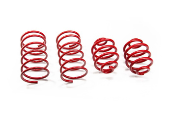 Lowering Springs Audi 80 B4 Avant (8C)