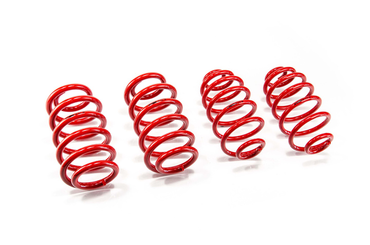 Performance Springs - MTSXVW381