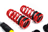 Coilover Suspension Street - MTSGWMB14