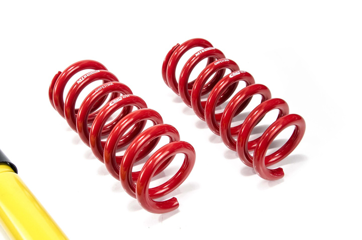 Coilover Kit Street Dodge Charger 7