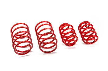 Lowering Springs BMW 3 Coupe (E36)